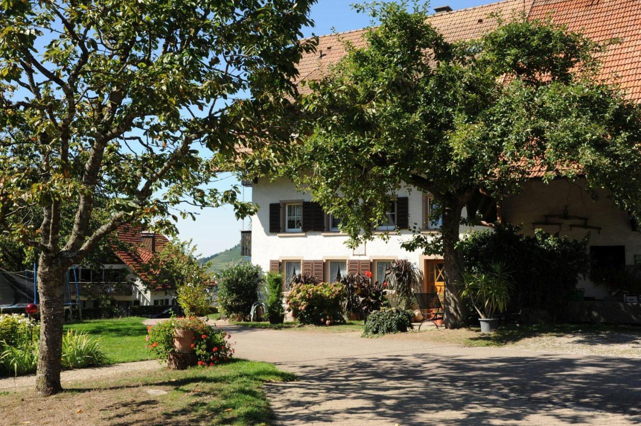 Gschwanderhof Apartment