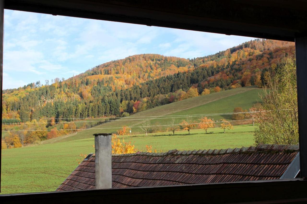 Gschwanderhof Апартаменты *