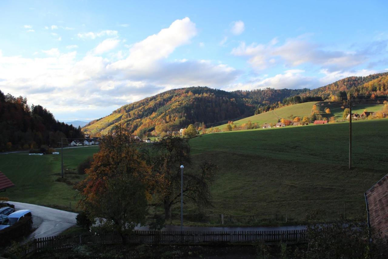 Gschwanderhof Апартаменты Глоттерталь